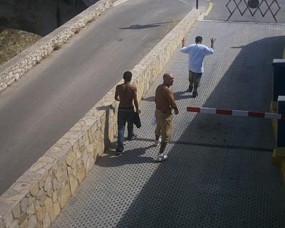 the three gangsta