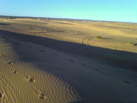 the desert